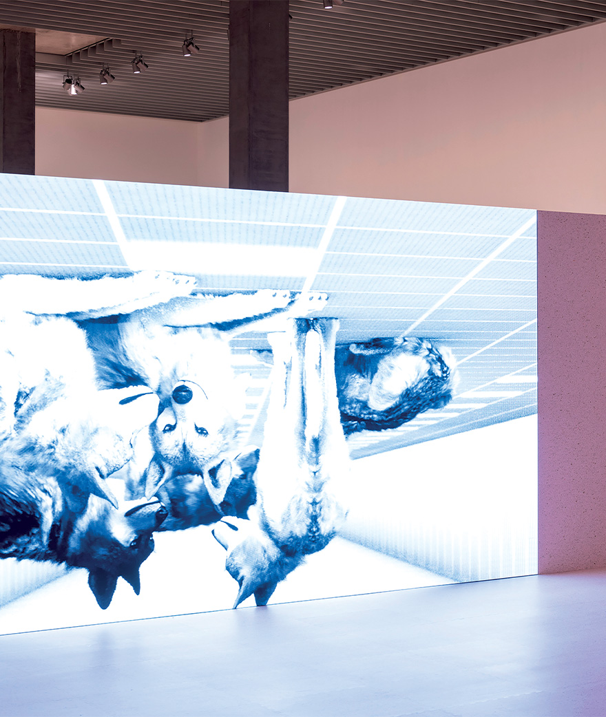 exposition-artiste-shahryar-nashat-numero-magazine